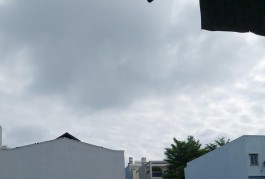 BÁN Đất  Lâm hoành  300m2  ngang 8m - kdc Lý chiêu Hoàng Bình Tân